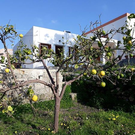 Maria Guesthouse Kini Exterior foto